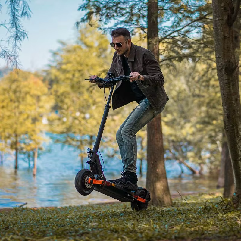 Joyor – trottinette électrique pliable S5 pour adulte, 10 pouces, batterie de 48V, 13ah, 600W