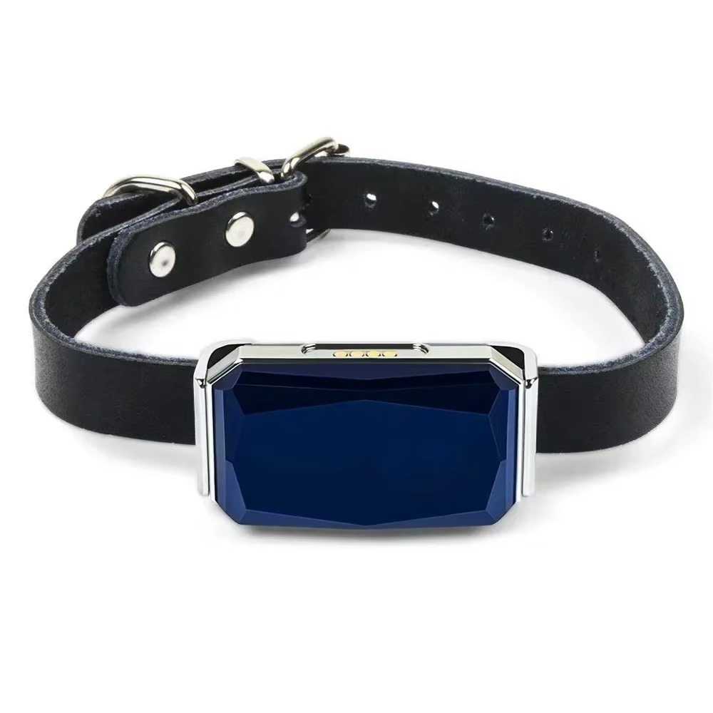 Mini traceur GPS de collier pour animaux de compagnie, GSM Wifi LBS traqueur Anti-perte collier de l