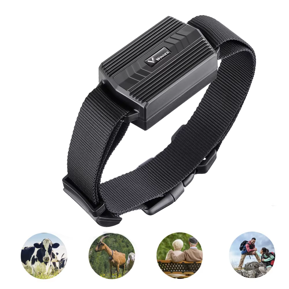 Localisateur GPS Animal pour vache chameau TK935, 3000mAh, localisateur GPS étanche, aimant de voiture, application Web gratuite PK TK905