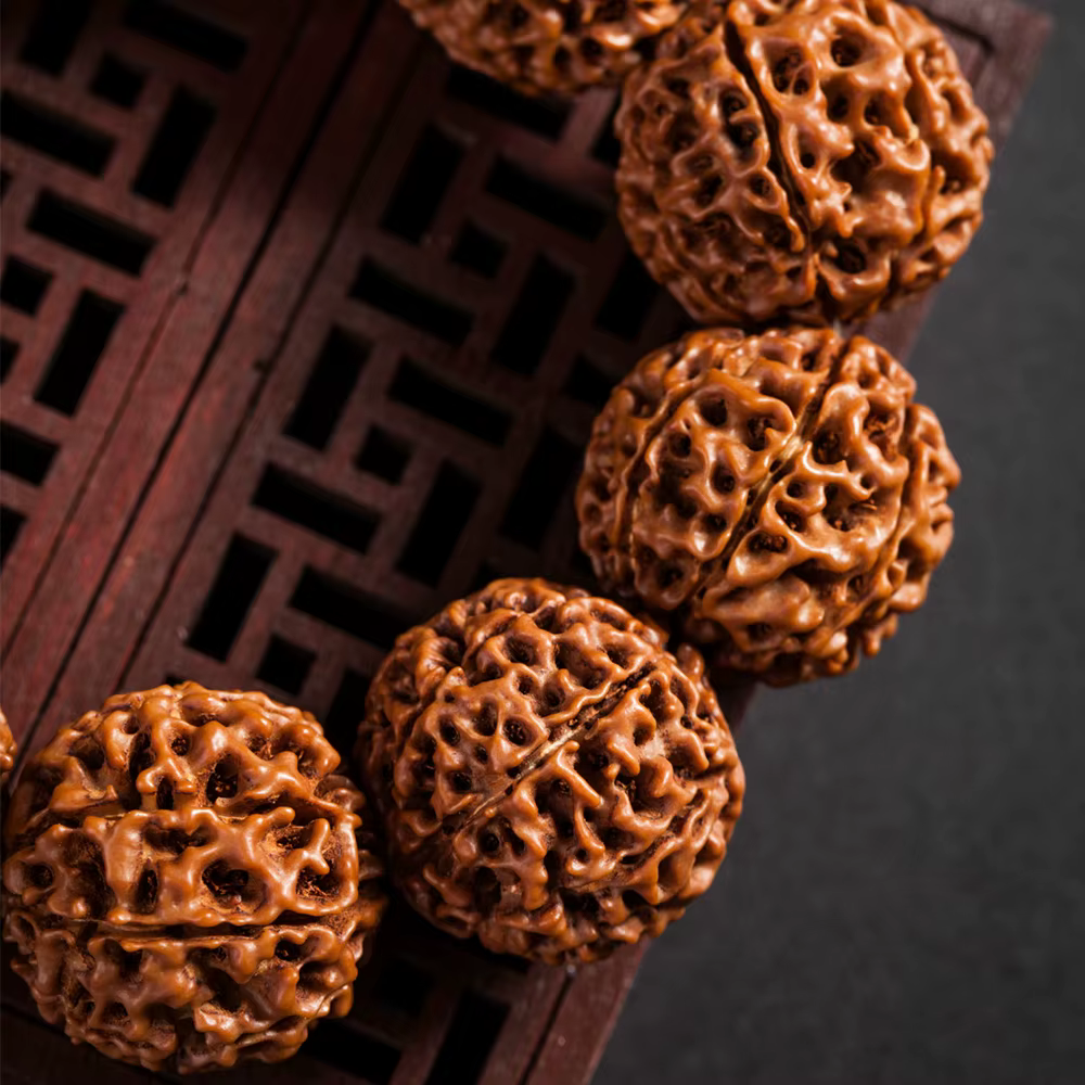 Mode Rudraksha perles Bracelets pour femme Nature Rudraksha Bracelets hommes religieux bouddha méditation bouddhisme bijoux amulettes