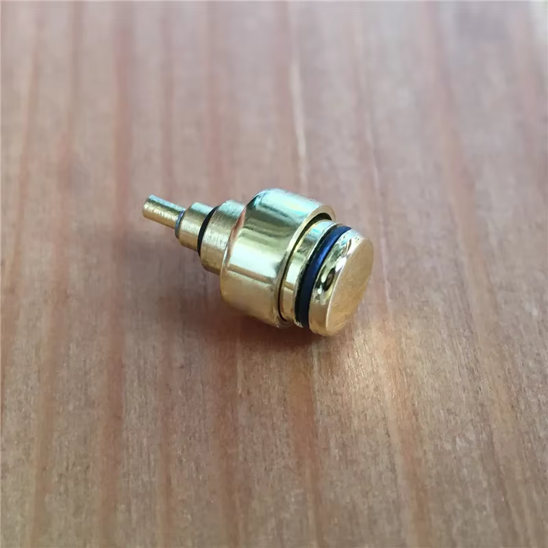 Poussoir étanche en acier pour montre classique Brigton Wlmaster