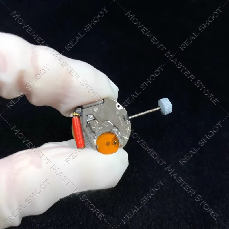 Rmoelle-Accessoires de montre à mouvement à quartz suisse