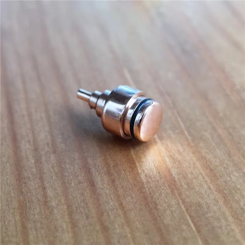 Poussoir étanche en acier pour montre classique Brigton Wlmaster