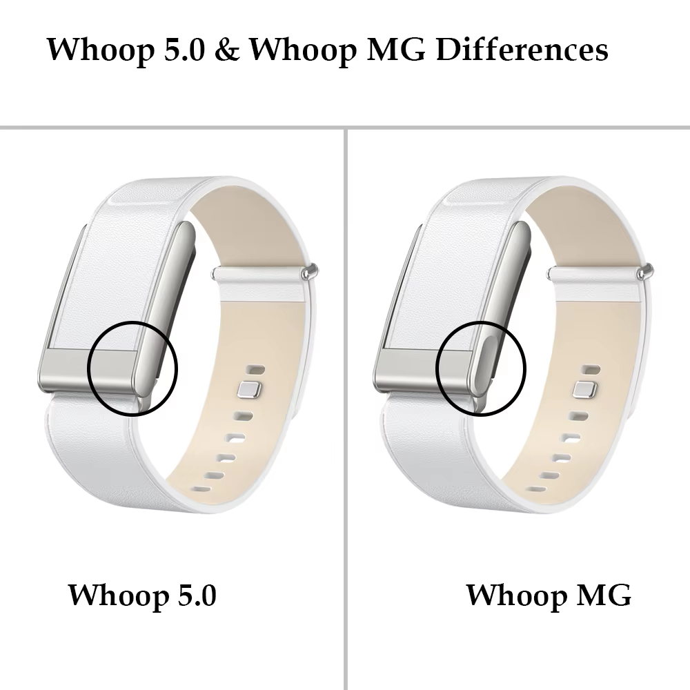 Bracelet en cuir d'origine pour Whoop 5.0/MG