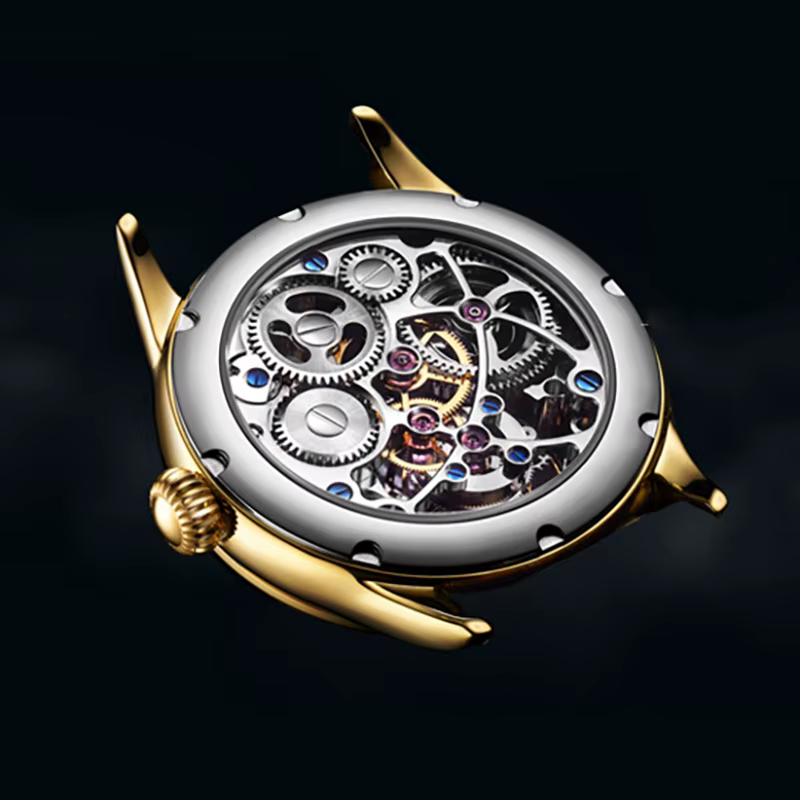 AESOP véritable Tourbillon squelette montre pour hommes haut de gamme montres mécaniques de luxe étanche saphir magasin
