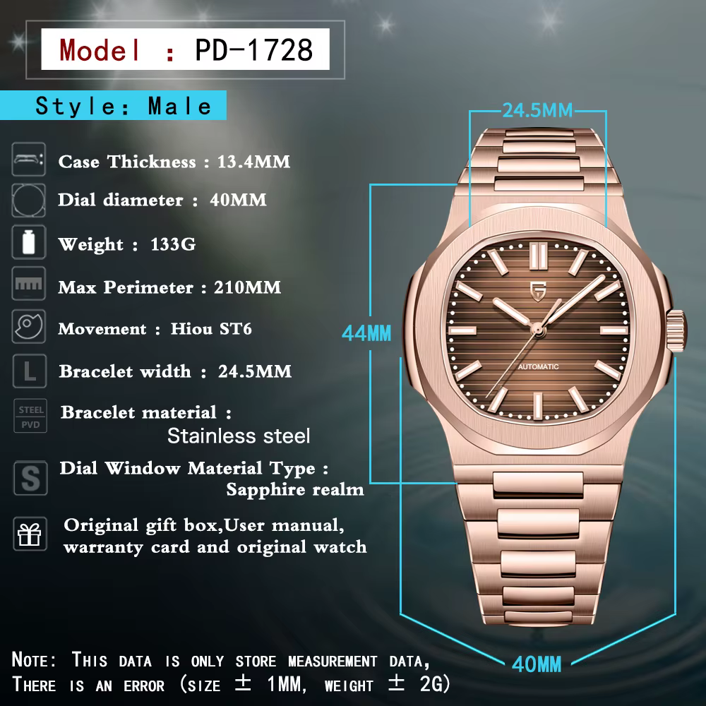 PAGANI DESIGN – montre mécanique de luxe pour hommes