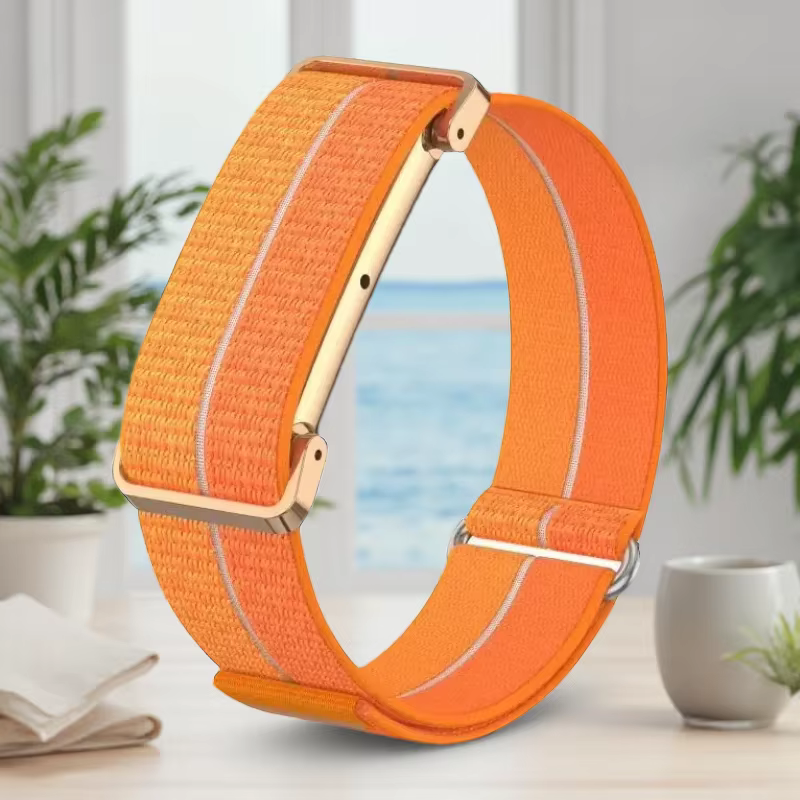 Boîtier en métal + bracelet en nylon pour Google Fitbit Air