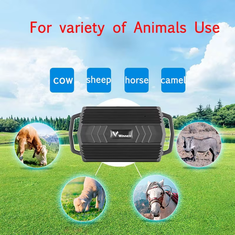 Traceur GPS pour animaux (vaches, chameaux, moutons) TK935 3000mAh, localisateur étanche en temps réel, aimant pour voiture, application web gratuite, PK TK905