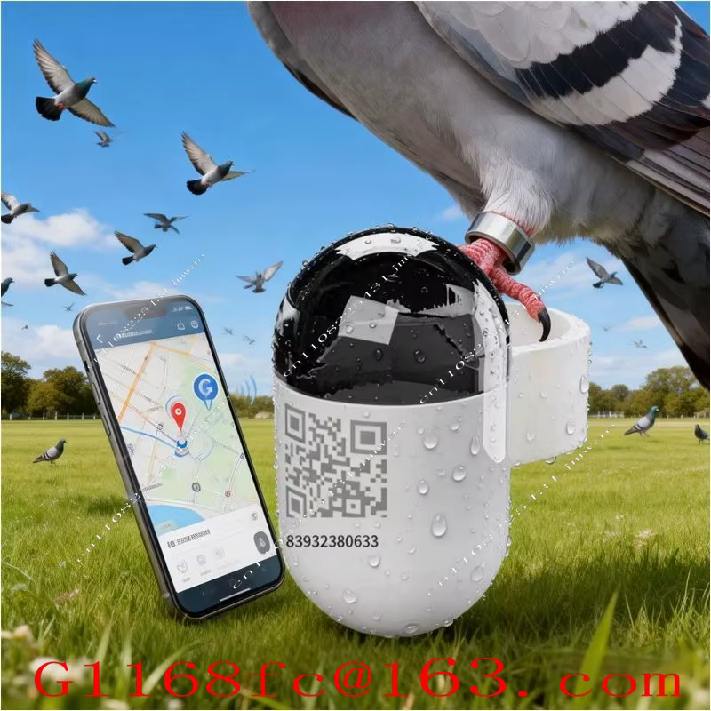Mini localisateur GPS en temps réel