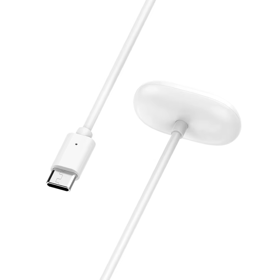 Chargeur de montre magnétique pour Google Fitbit Air