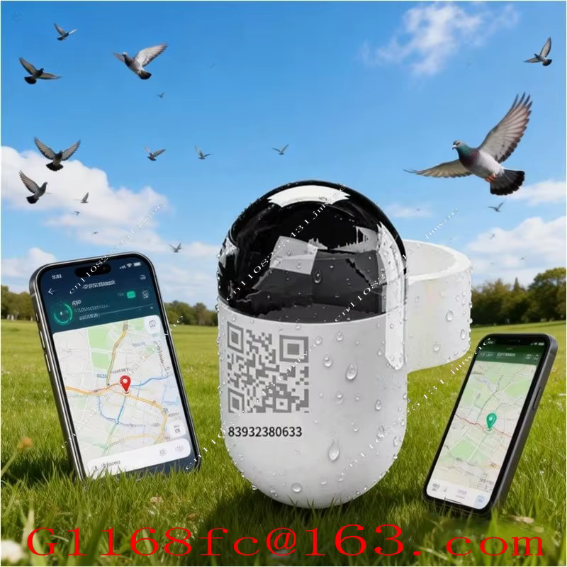 Mini localisateur GPS en temps réel