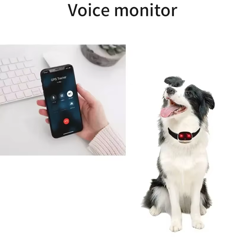 Mini traceur Gps 4G pour chats, avec lumière Led, étanche, Anti-perte, localisateur en temps réel, collier pour animaux de compagnie, voix bidirectionnelle, fournitures pour chiens