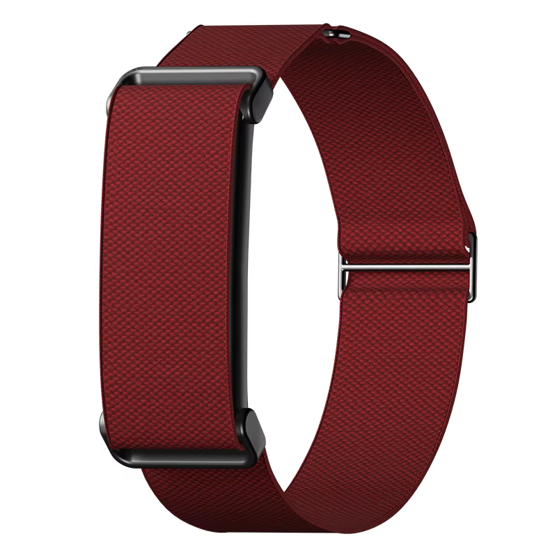 Bracelet de sport Google Fitbit Air