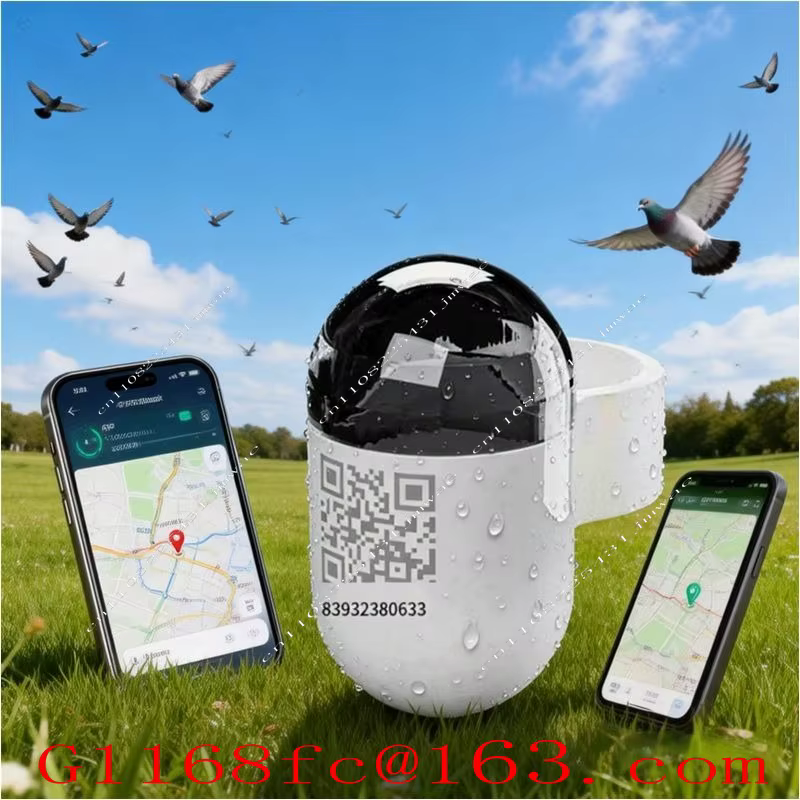 Mini localisateur GPS en temps réel