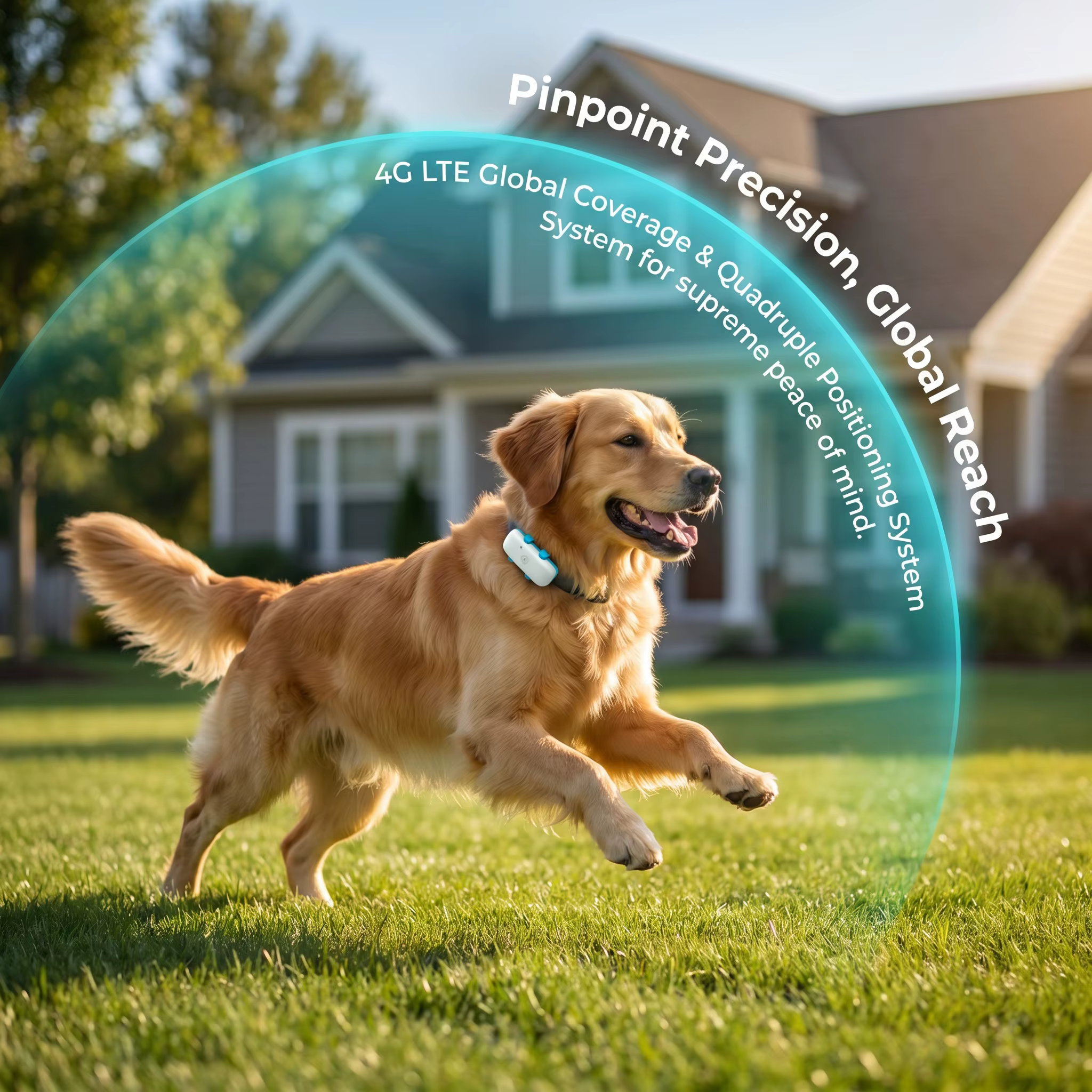 Traceur GPS 4G pour animaux de compagnie, mini GPS pour chat et chien, localisation en temps réel, alerte par vibration, géolocalisation, longue autonomie, compatible avec collier pour chien et chat,