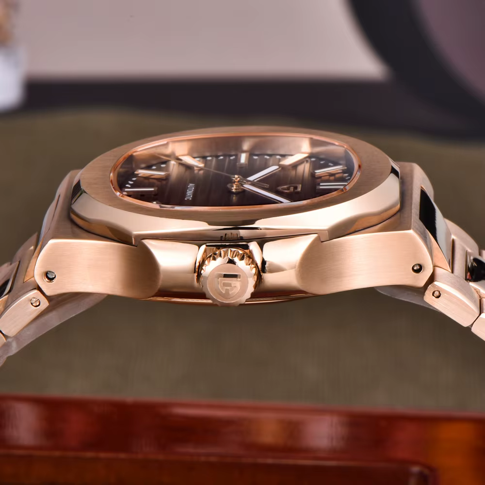 PAGANI DESIGN – montre mécanique de luxe pour hommes
