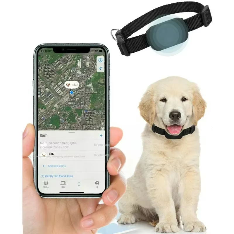 Mini chien Gps étanche, suivi des animaux, colliers d'alerte de mouvement, traceur Anti-perte pour chats et chiots, localisateur Global à distance