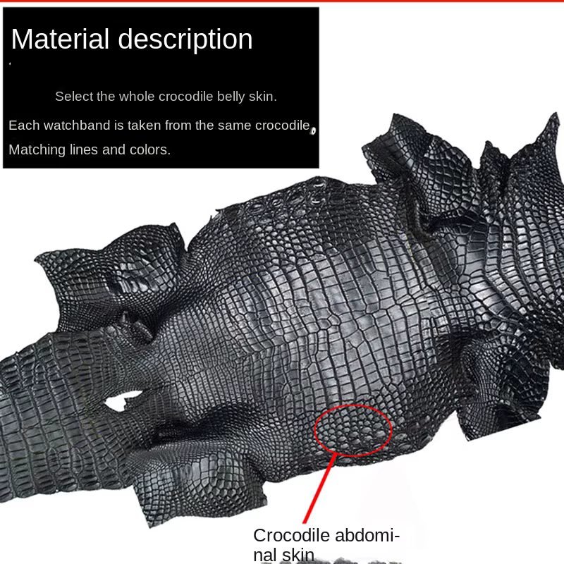 Bracelet de montre en peau de Crocodile pour hommes